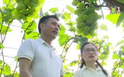 Phát triển nông nghiệp sinh thái- câu chuyện từ Pháp | Thủ đô và thế giới | 28/04/2025