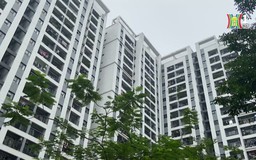 Phát triển nhà ở xã hội để đảm bảo an sinh | Phóng sự tài liệu | 11/03/2025