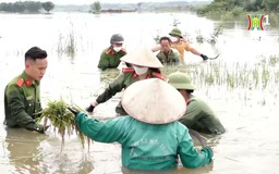 Sáng ngời những bông hoa việc tốt | An ninh Thủ đô | 11/09/2024