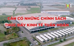Tạo động lực phát triển kinh tế tuần hoàn | Thủ đô và thế giới | 13/07/2024
