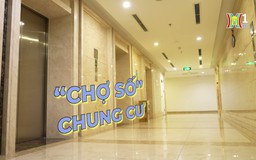 “Chợ số” chung cư | Phóng sự tài liệu | 12/08/2024