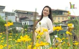 Thêm nhiều vườn hoa đẹp tại bãi bồi ven sông Hồng