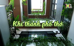 Khi thành phố thở | Cuộc sống thành thị | 14/09/2024