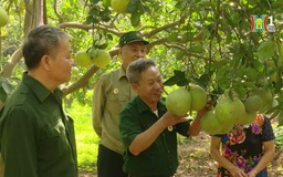 Tuổi cao trí càng cao | Người tốt quanh ta | 14/12/2024