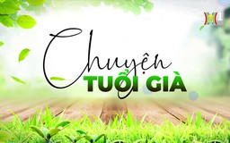 Người cao tuổi tập Yoga | Chuyện tuổi già | 14/07/2024
