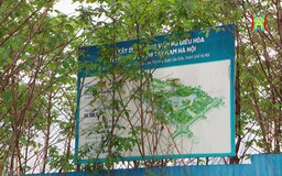 Dự án công viên hồ điều hòa để treo 15 năm