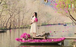 Suối Yến mùa hoa súng