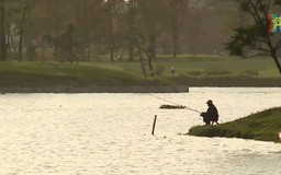 Hoàng hôn trên đầm Vân Trì
