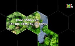 Hoạt động của các đội kiểm lâm cơ động | Tạp chí Kiểm lâm | 16/11/2024