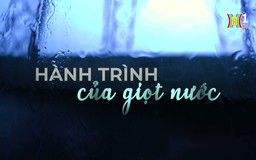 Hành trình của giọt nước