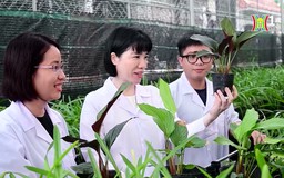 Tôn vinh 38 nhà khoa học nữ xuất sắc | Công nghệ và đời sống | 18/09/2024