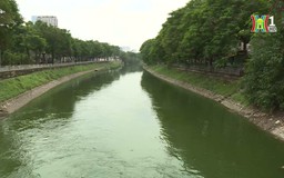 Sông Tô Lịch, ngày màu xanh trở lại | Phóng sự tài liệu | 17/12/2024