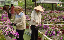Tấm gương 'tuổi cao chí càng cao' | Người tốt quanh ta | 19/03/2025