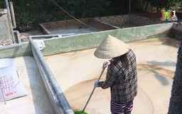 Vì môi trường sạch đẹp | Người tốt quanh ta | 19/05/2025