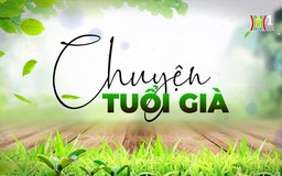 Người cao tuổi làm 'osin' cho con | Chuyện tuổi già | 18/08/2024