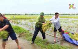 Ba Vì khắc phục hậu quả mưa bão | Chính quyền đô thị | 20/09/2024