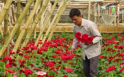 Người đưa hoa về đất lúa | Người tốt quanh ta | 22/01/2025