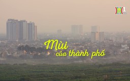 Hương thu Hà Nội