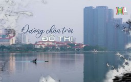 Đường chân trời đô thị | Cuộc sống thành thị | 21/11/2024