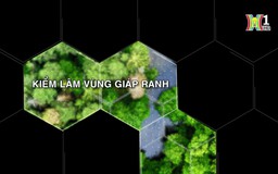 Kiểm lâm vùng giáp ranh | Tạp chí Kiểm lâm | 22/09/2024