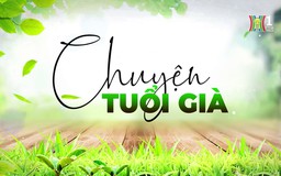 Câu chuyện lương hưu | Chuyện tuổi già | 22/12/2024