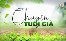 Đồ cổ, thú chơi tao nhã của tuổi già | Chuyện tuổi già | 24/11/2024
