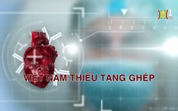 Việt Nam thiếu tạng ghép | Phóng sự tài liệu | 26/08/2024