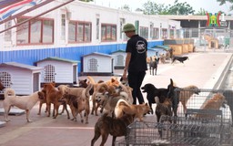 Trạm cứu hộ chó mèo | Phóng sự tài liệu | 27/05/2025