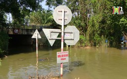 Vì sao đường gom Đại lộ Thăng Long cứ mưa là ngập? | Chuyện đô thị | 28/09/2024
