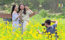 Điểm check-in đẹp dưới chân cầu Long Biên