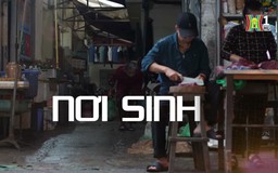Nơi sinh | Cuộc sống thành thị | 28/11/2024