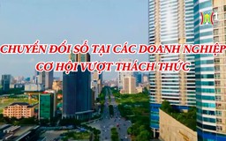 Chuyển đổi số tại các doanh nghiệp - cơ hội vượt thách thức | Phóng sự tài liệu | 29/10/2024