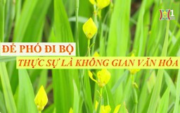 Để phố đi bộ Hà Nội thực sự là không gian văn hóa | Phóng sự tài liệu | 30/09/2024