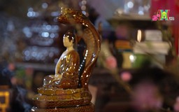 Rồng - Rắn – Vân mây | Phim tài liệu | 01/02/2025