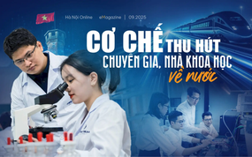 Cơ chế thu hút chuyên gia, nhà khoa học về nước