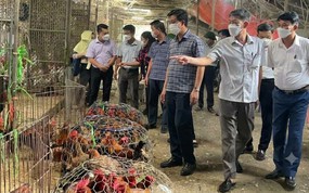 Hà Nội lấy 120 mẫu giám sát tại các chợ đầu mối | Sống an toàn | 03/10/2026