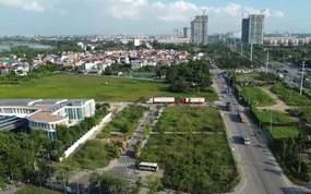 Xử lý nghiêm tình trạng bỏ cọc, thao túng kết quả đấu giá