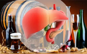 Giải pháp thải độc bia rượu: Đột phá mới bảo vệ gan