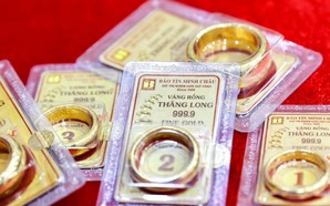 Giá vàng trong nước tiếp tục tăng mạnh