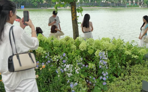 Những khoảng xanh quý giá giữa lòng đô thị
