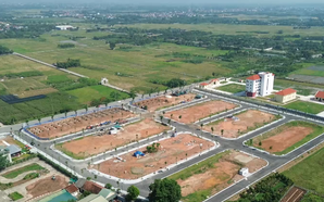 Đề xuất nâng tiền đặt trước đấu giá đất, ngăn đầu cơ bỏ cọc