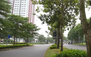 'Chìa khóa' cho mảng xanh đô thị | 05/10/2025