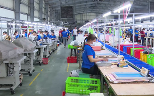 Kiểm toán năng lượng: giải pháp toàn diện cho doanh nghiệp | Tiết kiệm năng lượng | 15/11/2025