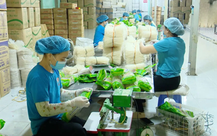 Lợi thế để Hà Nội đẩy mạnh sản phẩm OCOP | Chuyện ở ngoại thành | 22/11/2025