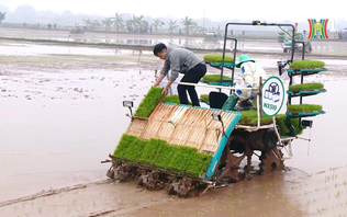 Ứng Thiên – Từ hợp nhất đến bứt phá | Nông thôn mới Hà Nội | 21/12/2025
