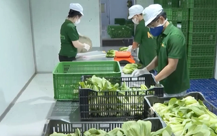 Kết nối nông lâm thủy sản Hà Nội với các tỉnh thành | Chuyện ở ngoại thành | 27/12/2025