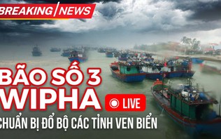 Breaking News: Bão số 3 Wipha chuẩn bị đổ bộ các tỉnh ven biển