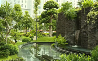 Sống lành | Vườn đô thị | 14/09/2025