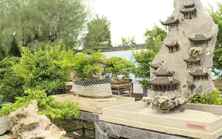 Vẻ đẹp cây bonsai trong không gian đô thị | Vườn đô thị | 21/09/2025