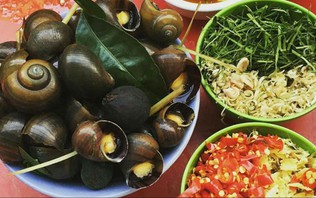 Thưởng thức ốc mùa thu Hà Nội